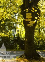 /album/jicin-ocima-vpm/dsc00028-jpg/
